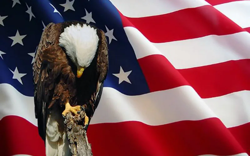 MemorialEagle